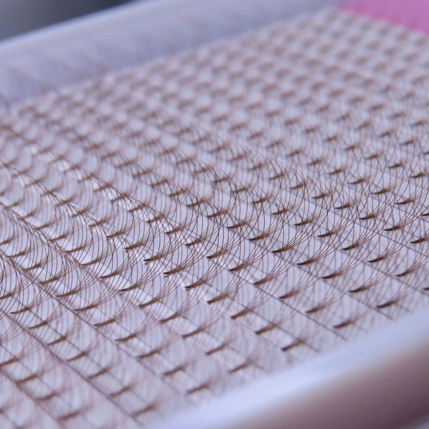 BROWN 5D 0.07 Short Stem Lashes XL Tray